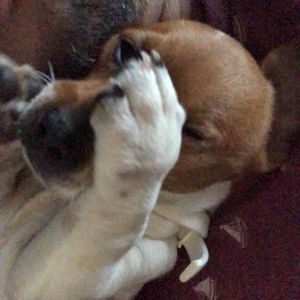 Meet your Posher, Luis